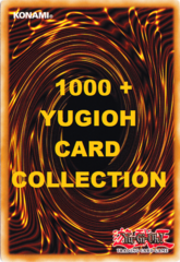 1000+ Yugioh Card Collection Including Rares and Holos